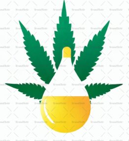 Cannabis Öl